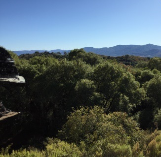 View south from upstairs.JPG